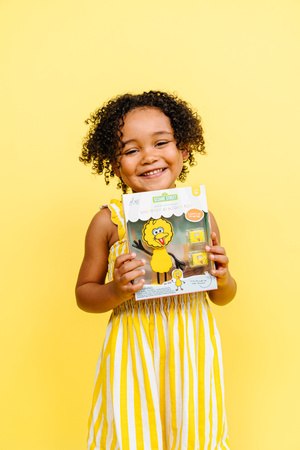 Glo Pals, Big Bird Character