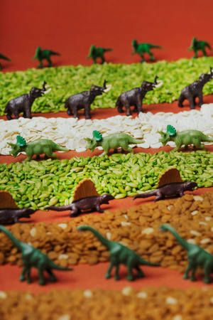 Petit Boum, Butelka obserwacyjna - dinozaury JURASSIC